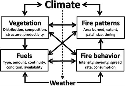 Simulation Modeling of Complex Climate, Wildfire, and Vegetation Dynamics to Address Wicked Problems in Land Management